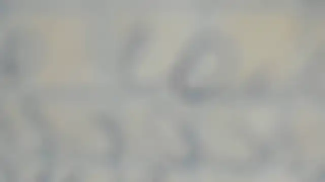 elis gabbi online show from 09/12/25, 01:00