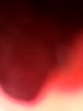 Virgin Pussy Love online show from 08/04/26, 03:58