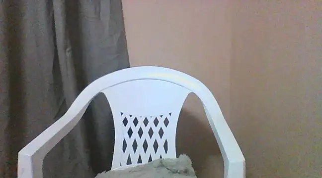 Moniva24 online show from 03/11/25, 01:16