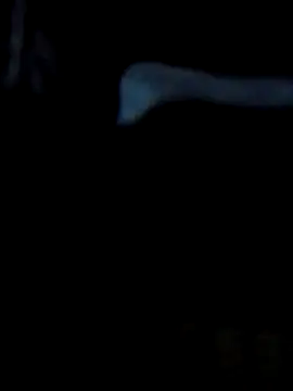 Snapshot of Antor1234 chatting on 02/23/25, 05:07 Antor1234 online show from 02/23/25, 05:07