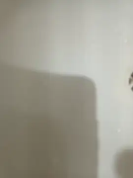 Snapshot of 1995eduardo chatting on 02/17/25, 03:53 1995eduardo online show from 02/17/25, 03:53