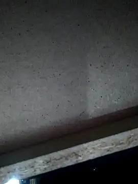 Snapshot of Leocesar37 chatting on 11/15/25, 04:54 Leocesar37 online show from 11/15/25, 04:54