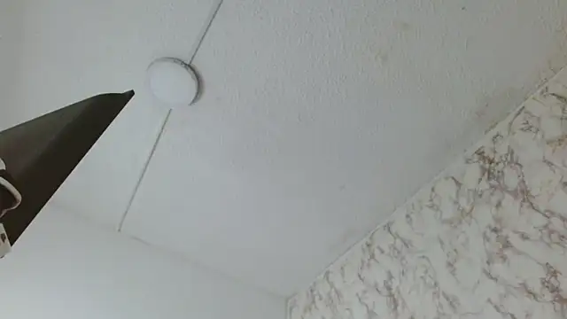 Snapshot of AlexaFontana chatting on 02/14/26, 08:00 AlexaFontana online show from 02/14/26, 08:00