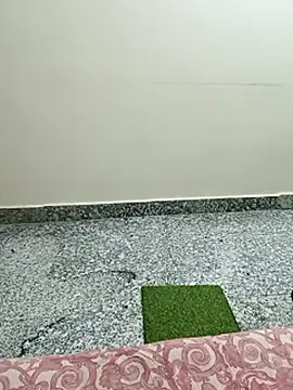 Saroj-Shah online show from 03/10/26, 05:07