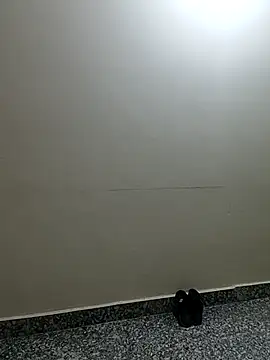 Saroj-Shah online show from 04/02/26, 03:37