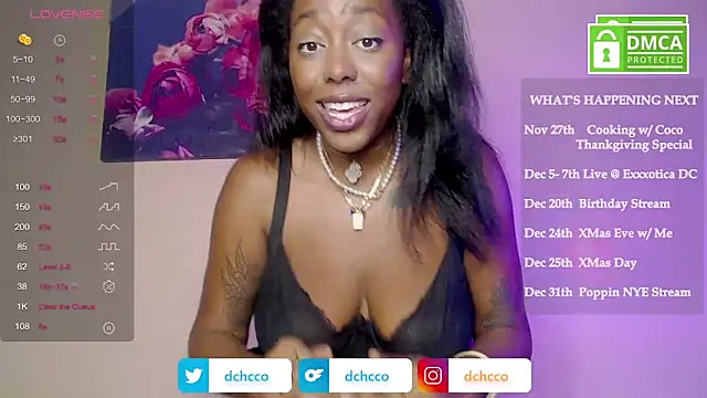Snapshot of dchcco chatting on 11/23/25, 10:31 dchcco online show from 11/23/25, 10:31