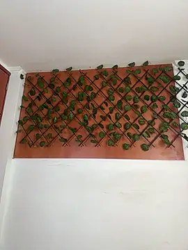 Snapshot of Emily_Trujillo chatting on 11/08/25, 05:34 Emily Trujillo online show from 11/08/25, 05:34