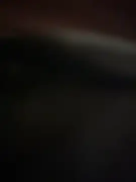 Snapshot of Jan_berger chatting on 01/20/25, 04:45 Jan berger online show from 01/20/25, 04:45