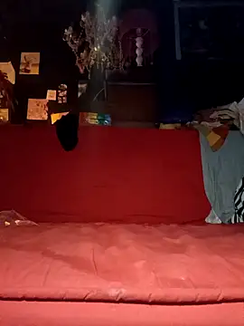 justiacoob online show from 11/19/25, 06:35