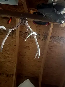 dcockell online show from 10/23/25, 04:01