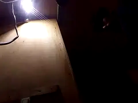 perkins1mm online show from 12/02/24, 06:43