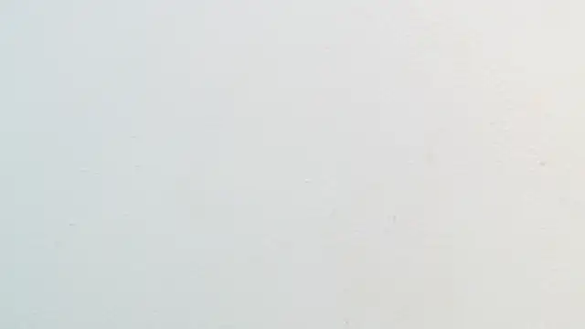 amaranta f00x online show from 11/22/25, 12:37