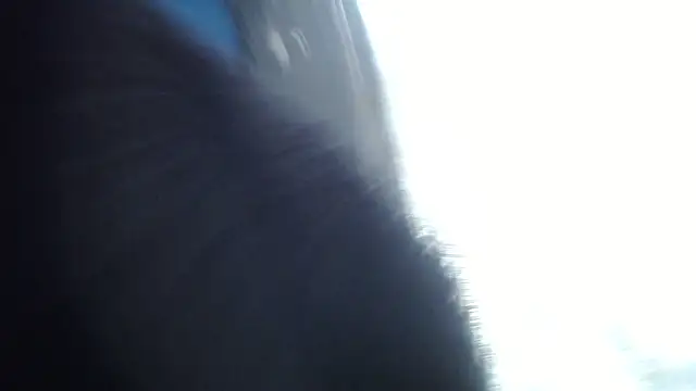 Snapshot of esjrobles chatting on 07/31/26, 03:55 esjrobles online show from 07/31/26, 03:55