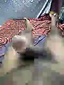 mallucallboy2104 online show from 12/30/24, 07:21