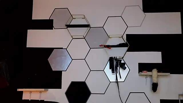 haileycat online show from 02/14/25, 03:33