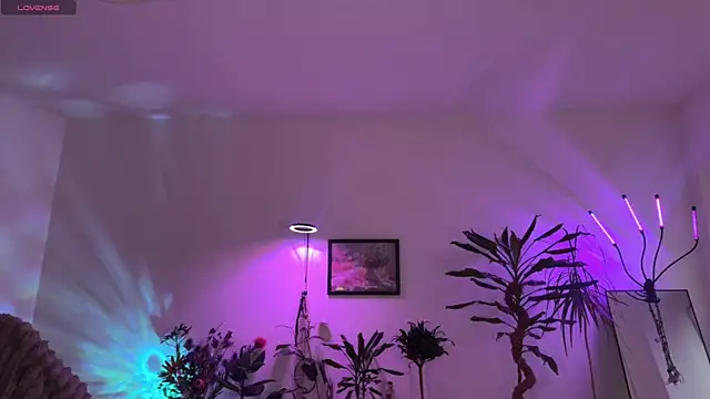 PaulaPratt online show from 03/31/26, 05:19