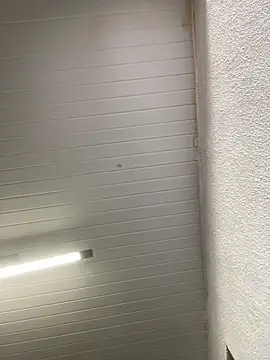 luara1988 online show from 10/23/25, 10:58