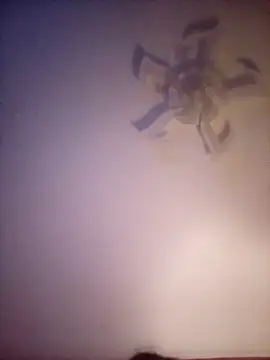 Fiesty findom40 online show from 01/10/26, 02:35