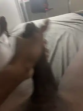 arrete2025 online show from 02/03/25, 01:08