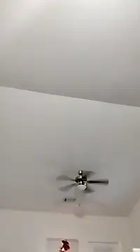 Playmate86 online show from 12/05/24, 04:09