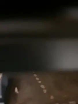 evoscenteno online show from 12/30/24, 12:32