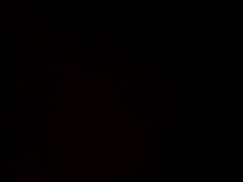 linksjack1010 online show from 02/24/25, 12:41