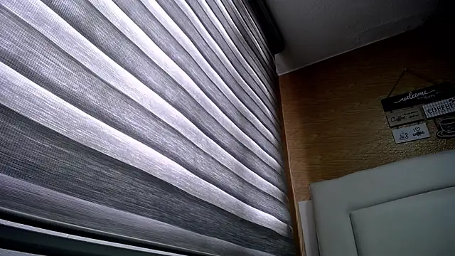 Snapshot of palmer_mIix chatting on 12/02/24, 03:14 palmer mIix online show from 12/02/24, 03:14