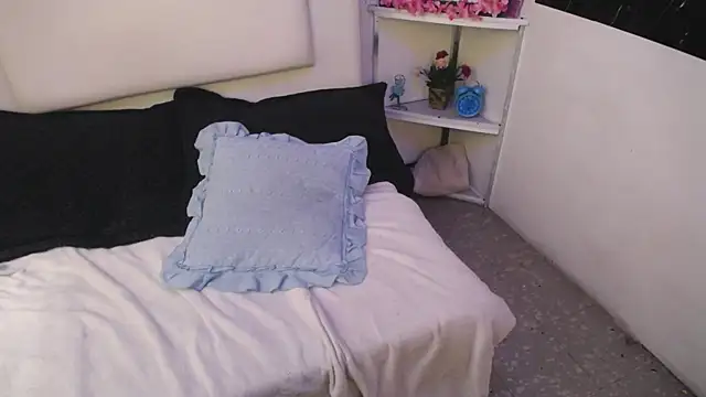 Snapshot of palmer_mIix chatting on 12/27/24, 01:07 palmer mIix online show from 12/27/24, 01:07