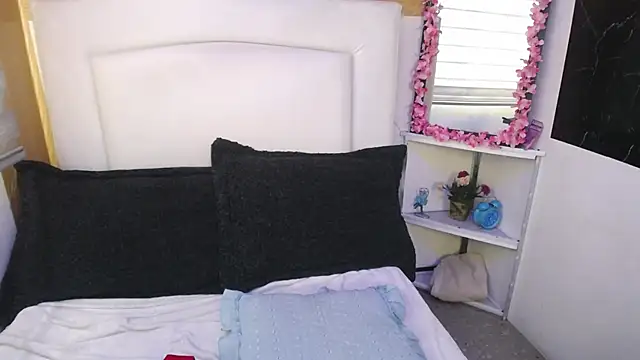 Snapshot of palmer_mIix chatting on 12/30/24, 01:47 palmer mIix online show from 12/30/24, 01:47