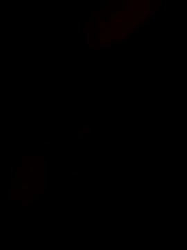 InnocentSupply4 online show from 11/08/25, 02:45