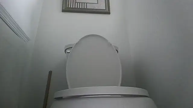 you like my chocolate101 online show from 10/11/25, 08:40