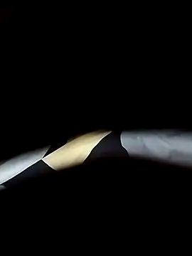 Snapshot of delhiboyooo chatting on 01/08/25, 07:55 delhiboyooo online show from 01/08/25, 07:55