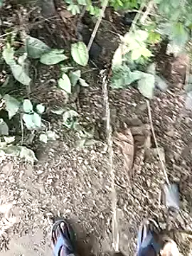 desicockblack online show from 12/03/24, 06:15