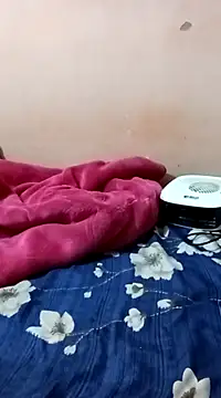 Snapshot of maftel chatting on 12/27/24, 01:53 maftel online show from 12/27/24, 01:53