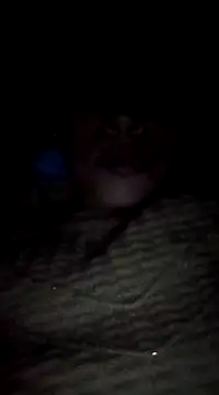 Snapshot of maftel chatting on 02/19/25, 12:57 maftel online show from 02/19/25, 12:57