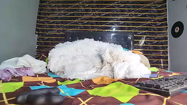 jeffblack2 online show from 04/01/26, 12:28