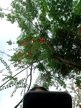 Snapshot of Karol-kamila19 chatting on 12/03/24, 09:01 Karol-kamila19 online show from 12/03/24, 09:01