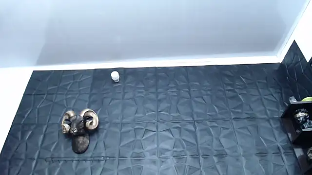 Hanna Fox 69 online show from 02/05/25, 04:59