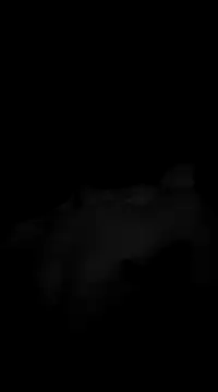 Deniell-01 online show from 03/19/25, 10:20