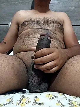 Jornaodaputaria online show from 11/05/25, 06:08