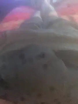 Snapshot of solomec chatting on 09/25/25, 06:39 solomec online show from 09/25/25, 06:39