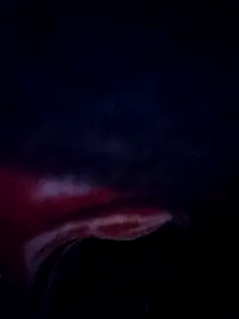 sana14 online show from 02/25/26, 10:52