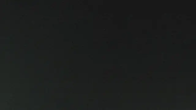 salome daniel online show from 06/15/26, 04:09