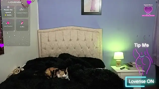 stephania t online show from 06/11/26, 02:11