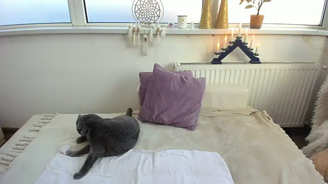 Arya Shinex online show from 01/09/25, 08:13