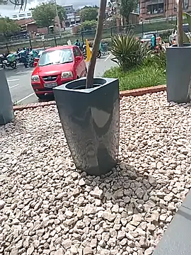 Lexwelll online show from 03/16/25, 11:05