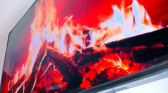 Owen Muzcle online show from 02/06/25, 03:06