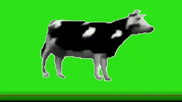 awesome anna online show from 02/13/26, 10:55