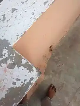 Snapshot of PracticalGum40 chatting on 02/21/26, 03:07 PracticalGum40 online show from 02/21/26, 03:07