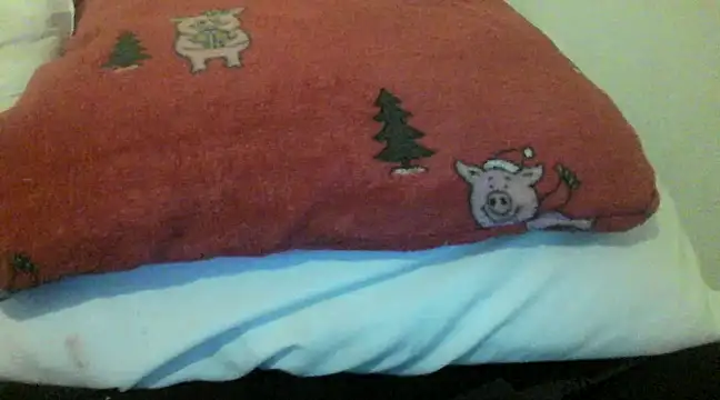 Snapshot of bunnyamy chatting on 12/05/24, 06:00 bunnyamy online show from 12/05/24, 06:00